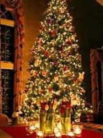 Many years of professional experience with many networks