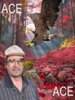 Realistic Tarot Readings, With many accurate senses. Love,Career,energies,Pets,