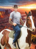 Realistic Tarot Readings, With many accurate senses. Love,Career,energies,Pets,