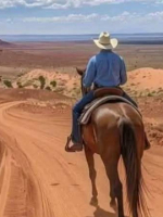 Realistic Tarot Readings, With many accurate senses. Love,Career,energies,Pets,