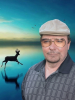 Realistic Tarot Readings, With many accurate senses. Love,Career,energies,Pets,