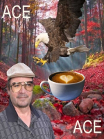 Realistic Tarot Readings, With many accurate senses. Love,Career,energies,Pets,