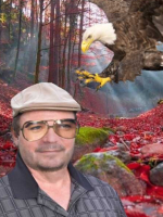 Realistic Tarot Readings, With many accurate senses. Love,Career,energies,Pets,