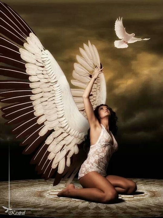 Angelic Angel Tarot Advisor